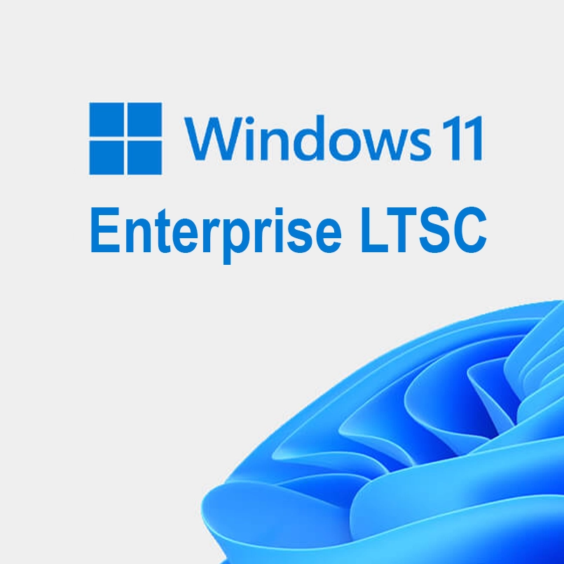 Windows 11 Enterprise LTSC